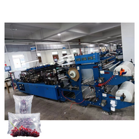 PE PA Protective Products Bubble Film Buffer Packing Air Cushion Column Roll Bag Making Machine Bag In Bag